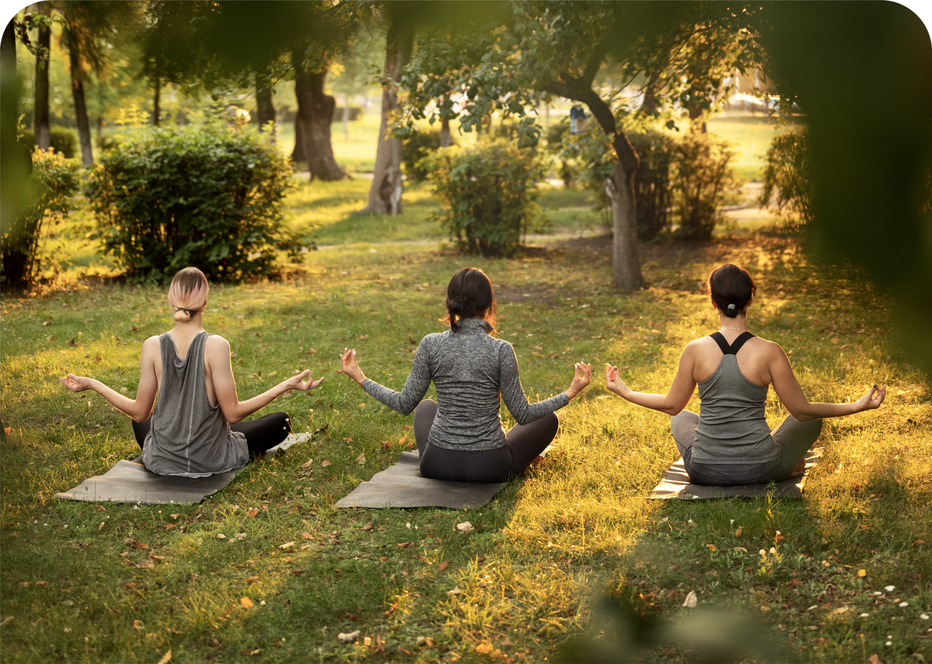 Pertenencia a una tribu de almas afines